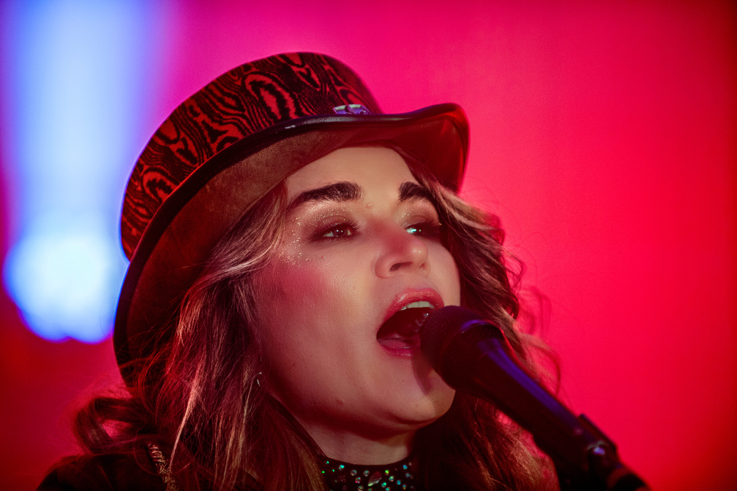 Heidi Joubert - Chaos + Peace Tour / Fabrik no 5 / 28 Nov 25 - Image 3